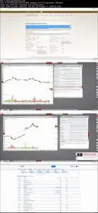 Fundamental Analysis: The course for Fundamental Analysis