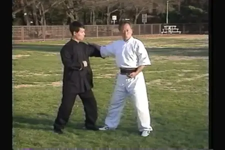 Adam Hsu - Chen Tai Chi Chuan Old Form