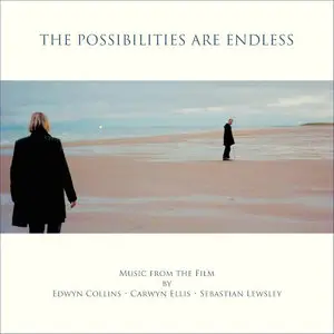 Edwyn Collins, Carwyn Ellis & Sebastian Lewsley - The Possibilities Are Endless (2014)
