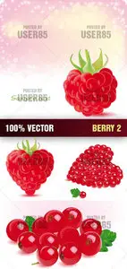 Stock Vector - Berry 2