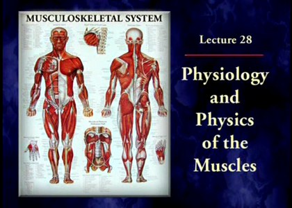TTC Video - Understanding the Human Body: An Introduction to Anatomy and Physiology