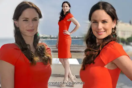 Sarah Wayne Callies - Photocall at Majestic Hotel in Cannes, France October 9, 2012