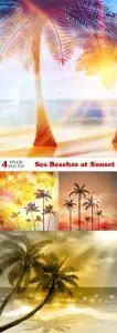 Vectors - Sea Beaches at Sunset