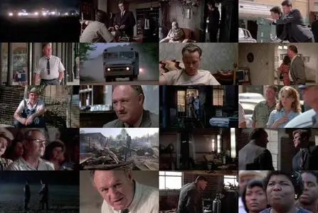 Mississippi Burning (1988)