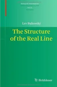 The Structure of the Real Line (Repost)
