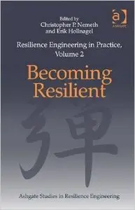 Resilience Engineering in Practice, Volume 2