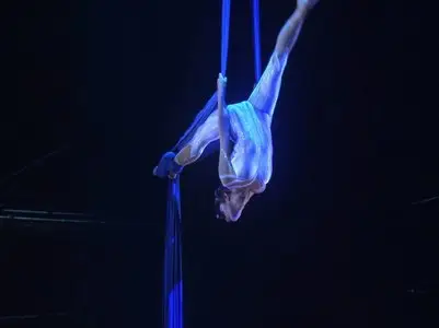 Cirque du Soleil: Zed in Tokyo (2013)