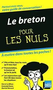 Hervé Le Bihan, Gwendal Denis, Martial Menard, "Le Breton Guide de conversation Pour les nuls"