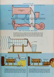 The World Book Encyclopedia "E" Volume 6