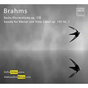 Zofia Antes & Aleksandra Batog - Brahms: Chamber Works (2019)