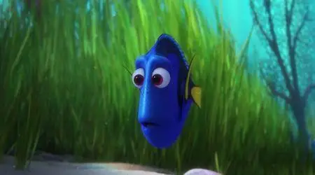 Alla ricerca di Dory (2016)