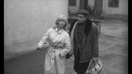 Covek nije tica / Man Is Not a Bird (1965)