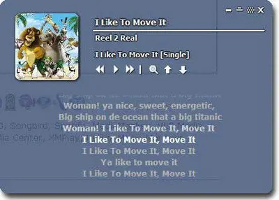 MiniLyrics 7.0.564