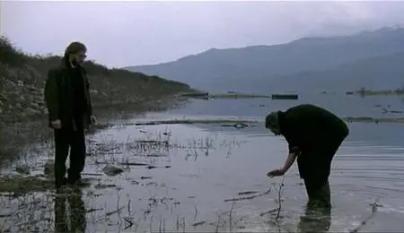 Meteoro vima tou pelargou, To (1991)