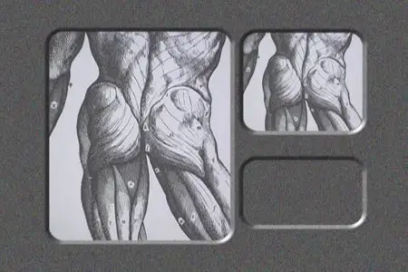 Larry Withers - Anatomy for artists: Man In Motion [repost]