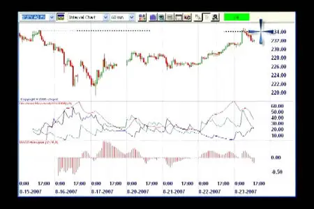 Forex on Fire