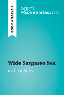 «Wide Sargasso Sea by Jean Rhys (Book Analysis)» by Bright Summaries