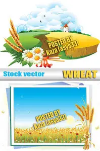 Wheat 2