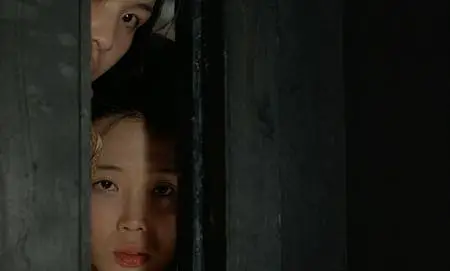 In the Realm of the Senses (1976)