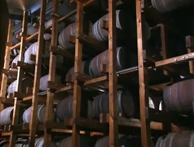 Золотой глобус. 13. ЮАР