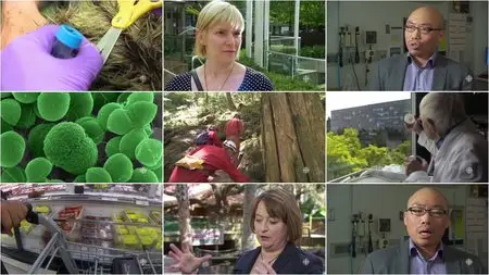 CBC - The Nature of Things: The Antibiotic Hunters (2015)