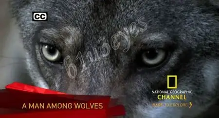 National Geographic: Mystery Of The Wolf