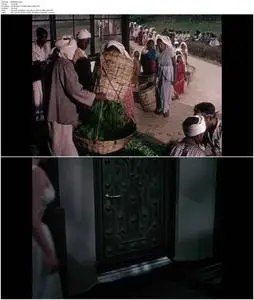 Elephant Walk (1954)