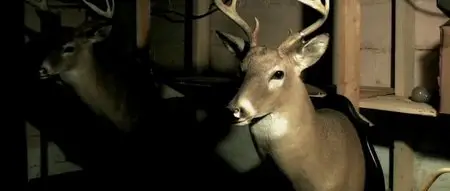 Live Animals (2008)