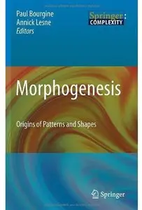 Morphogenesis: Origins of Patterns and Shapes