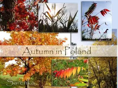 Autumn in Poland
