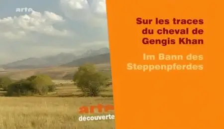(Arte) Sur les traces du cheval de Gengis Khan (2012)