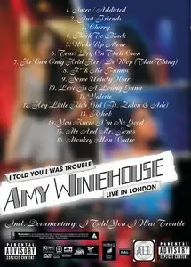 Amy Winehouse - I Told You I Was Trouble