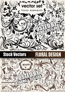 Stock Vectors - Floral Design