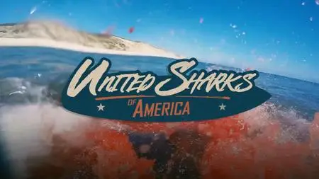 Sci Ch - United Sharks of America: Shark Bite Capitals (2020)