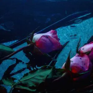 Skeleton Hands - Wake (2017)