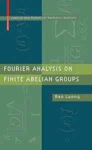 Fourier Analysis on Finite Abelian Groups (repost)