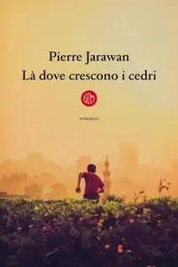 Pierre Jarawan - Là dove crescono i cedri