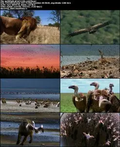 Earthflight S01E02