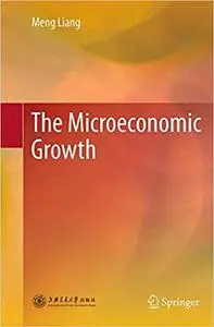 The Microeconomic Growth (Repost)