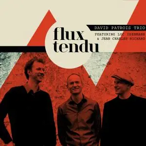 David Patrois Trio - Flux Tendu (2015)