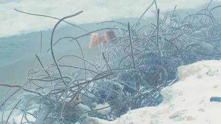 CBC - The Nature of Thing: Accidental Wilderness: The Leslie Street Spit (2020)