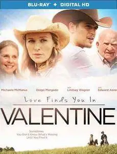 Love Finds You in Valentine (2016)