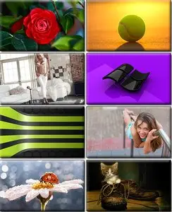 Computer Desktop Wallpapers Collection. Part (1013)