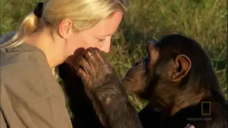 National Geographic - Human Ape (2011)