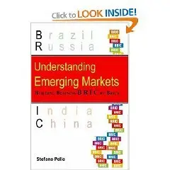 Understanding Emerging Markets: Building Business Bric by Brick (Repost)