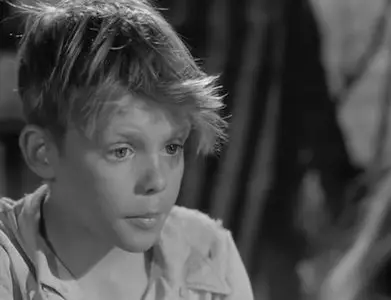 Jeux interdits (1952) aka Forbidden Games