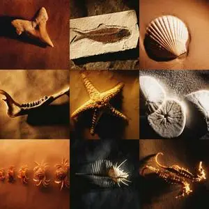 Mixed Wallpapers 1