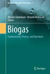 Biogas: Fundamentals, Process, and Operation