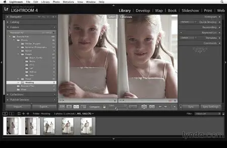 Photoshop Lightroom 4 Essentials 1: Organizing and Sharing with the Library Module (2012)