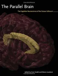 The parallel brain : the cognitive neuroscience of the corpus callosum (Repost)